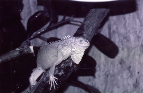 2003_10