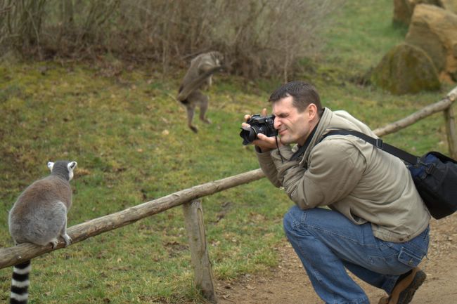 Co tpne tentokrt? (ten lemur!)