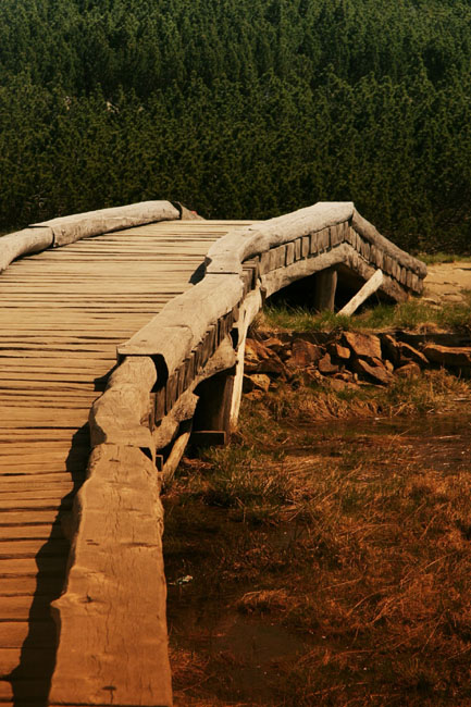 ...cesta se krout,