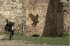 Výrovi se letět nechce